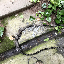 duguláselhárítás referencia